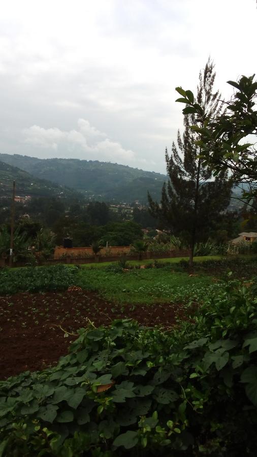 White Horse Inn Kabale Dış mekan fotoğraf