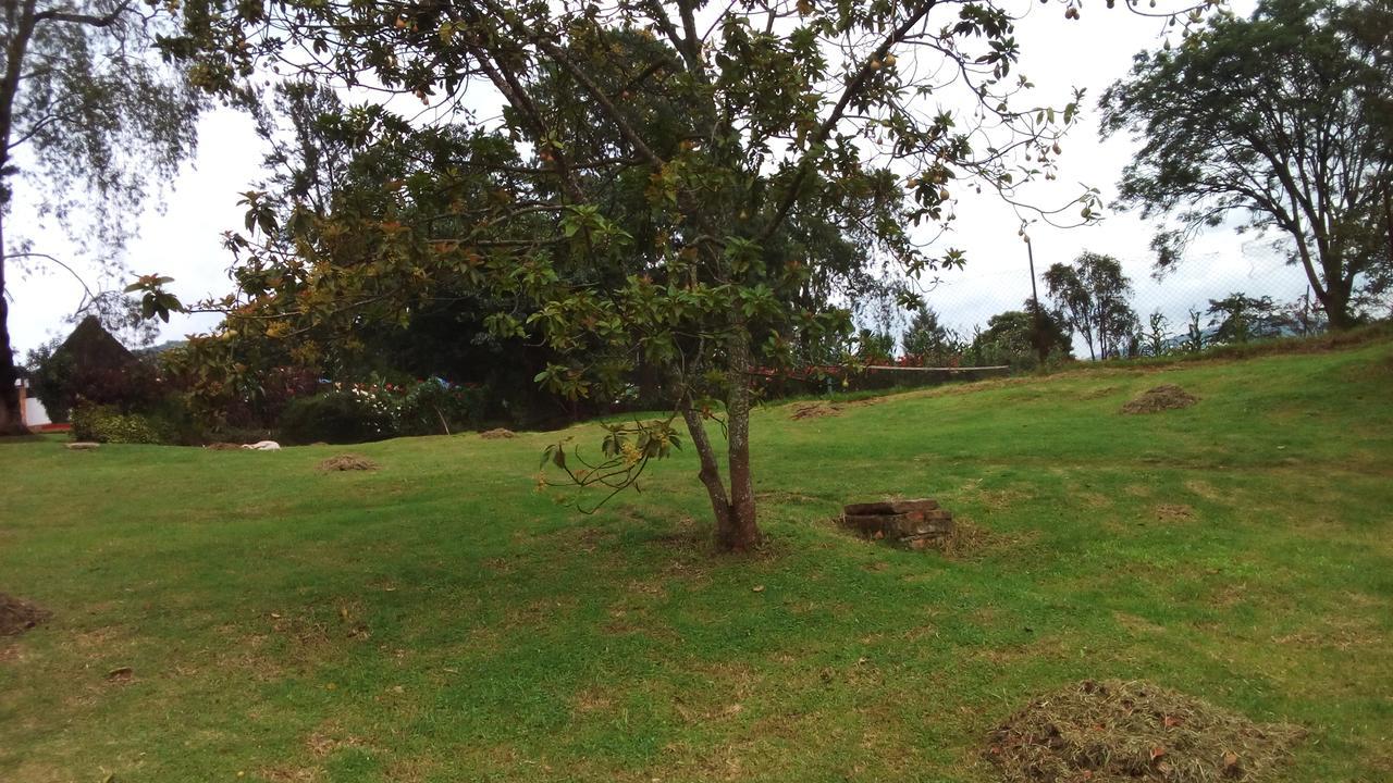 White Horse Inn Kabale Dış mekan fotoğraf
